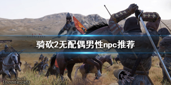 骑马与砍杀2什么无配偶的男性npc好（骑马与砍杀2什么无配偶的男性npc好杀）