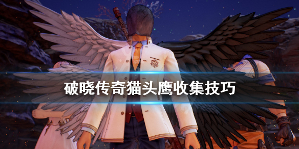 破晓传说猫头鹰怎么找 破晓传说猫头鹰找齐