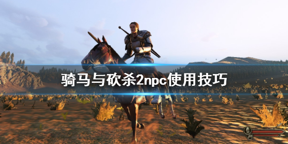 骑马与砍杀2npc怎么使用（骑马与砍杀2npc使用武器顺序）
