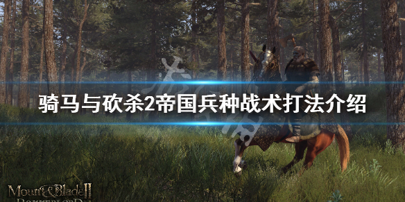 骑马与砍杀2帝国兵种详解 骑马与砍杀2帝国兵种