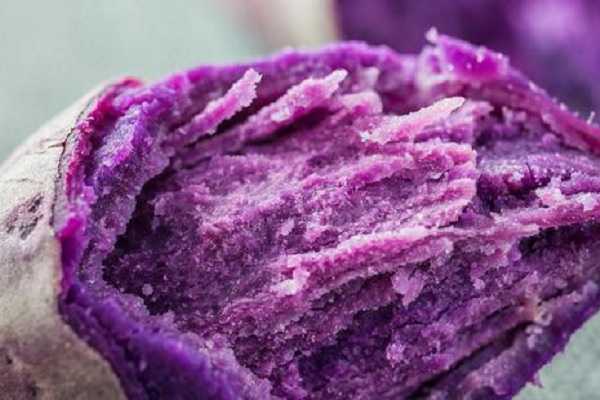 紫薯最好吃的是哪个品种 优质高产品种有哪些
