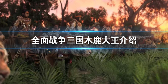 全面战争三国木鹿大王好用吗 全面战争三国木鹿大王好用吗贴吧
