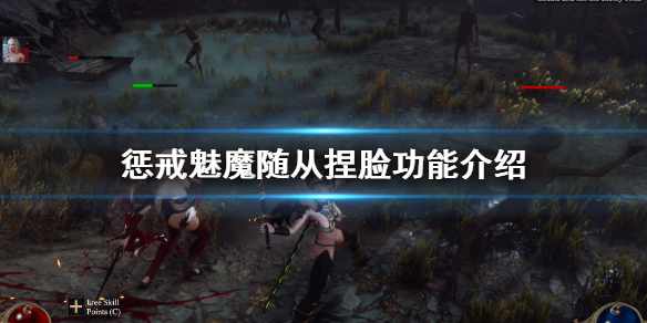 惩戒魅魔随从怎么捏脸（惩戒魅魔捏好脸怎么开始）