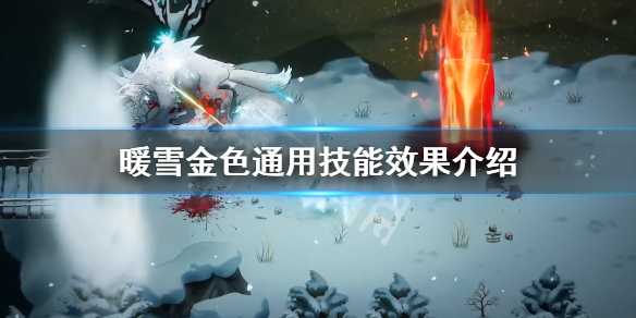 暖雪金色通用技能有哪些