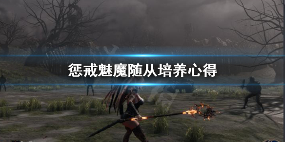 惩戒魅魔随从怎么培养 惩戒魅魔随从培养方向
