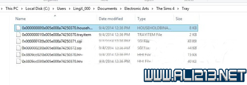 《模拟人生4》存档位置介绍及保存方法