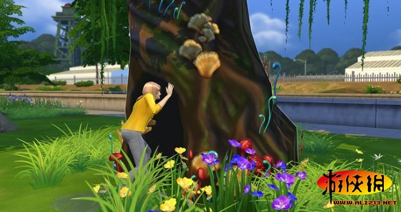 《模拟人生4》柳溪镇沙漠绿洲隐藏地图进入方法图文详解 Sylvan Glade 森林空地