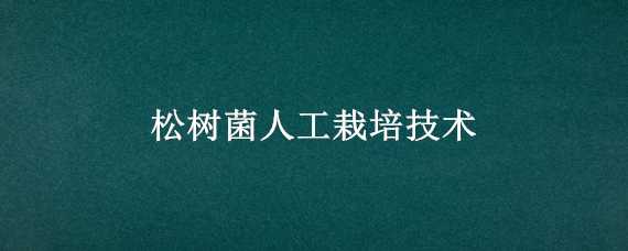 松树菌人工栽培技术 松树菌人工栽培技术与管理