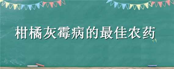 柑橘灰霉病的最佳农药