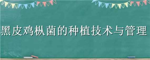 黑皮鸡枞菌怎么种植（黑皮鸡枞菌种植成本利润）