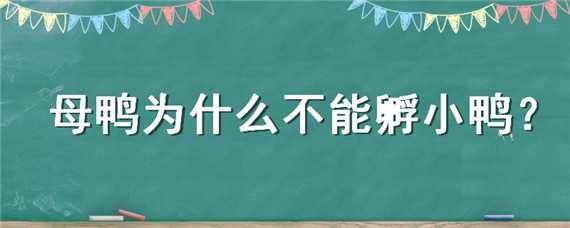 母鸭为什么不能孵小鸭 母鸭为什么不能孵小鸭呢