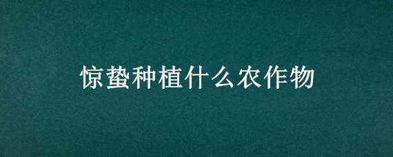 惊蛰种植什么农作物