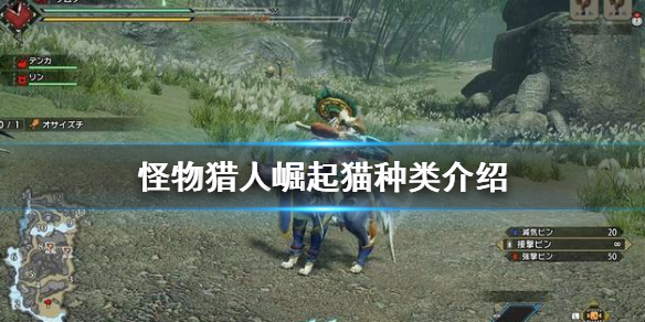 怪物猎人崛起艾露猫种类怎么选（怪猎崛起艾露猫选择）