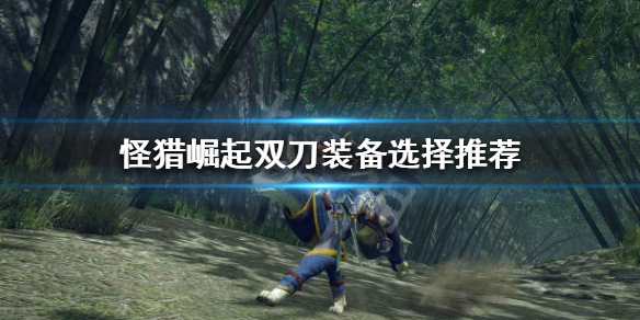 怪物猎人崛起双刀装备怎么选（怪物猎人崛起双刀装备怎么选属性）