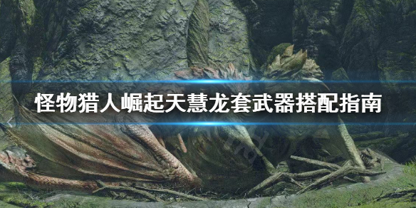 怪物猎人崛起天慧龙套怎么搭配武器 怪物猎人崛起天慧龙弱点属性