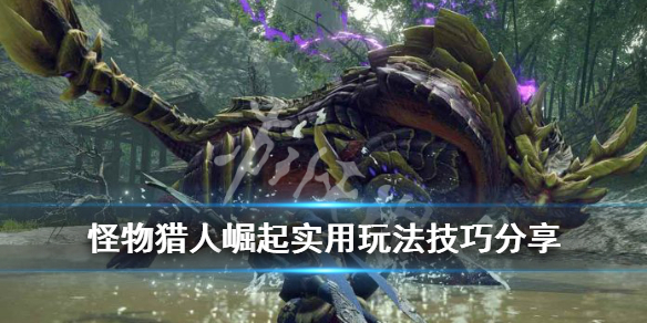 怪物猎人崛起实用玩法技巧分享（怪物猎人崛起实用玩法技巧分享大全）