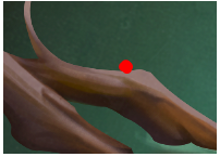 《侠客风云传》虹鲤位置（侠客风云传 虹鱼）