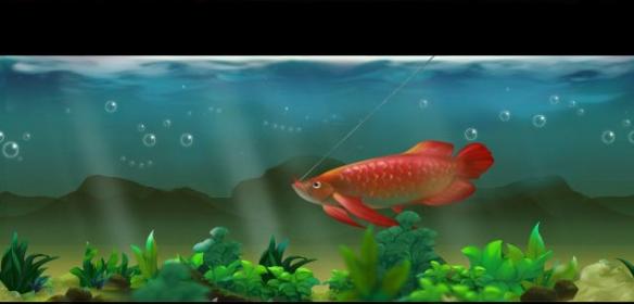 《侠客风云传》钓虹鲤攻心得攻略（侠客风云传 虹鱼）