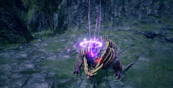 怪物猎人崛起街霸联动活动是什么 最新联动情报分享