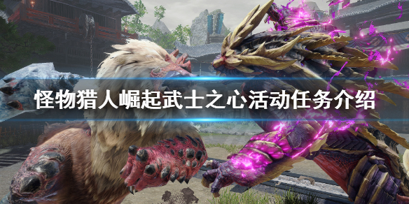 怪物猎人崛起武士之心是什么任务（怪物猎人崛起武士之心是什么任务啊）