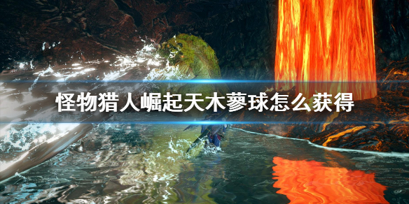 怪物猎人崛起天木蓼球怎么获得 怪物猎人崛起 木天