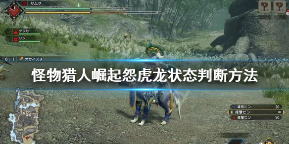 怪物猎人崛起怨虎龙怎么打 怪物猎人崛起怨虎龙怎么打不了