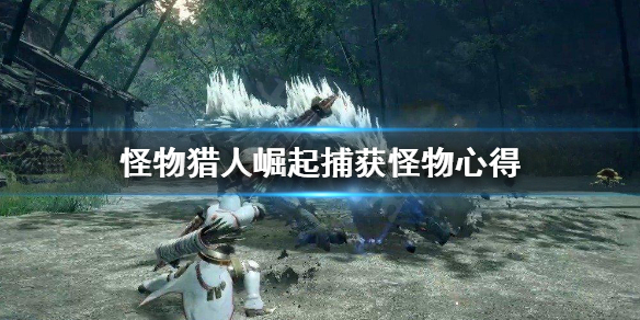 怪物猎人崛起怎么捕获怪物 怪物猎人崛起捕获怪物得到的道具在哪