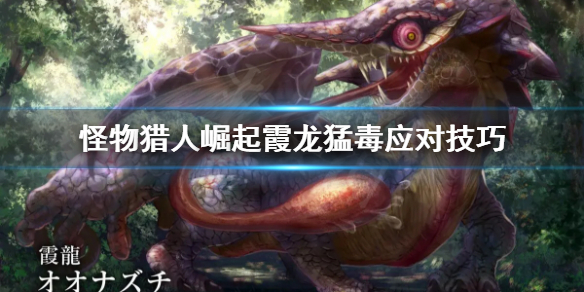 怪物猎人崛起霞龙猛毒怎么打（怪物猎人崛起霞龙武器解锁）