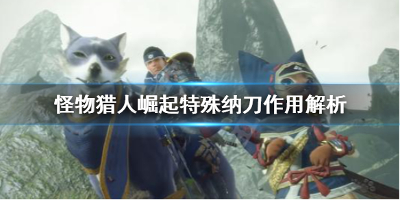 怪物猎人崛起特殊纳刀有什么用（崛起 特殊纳刀）