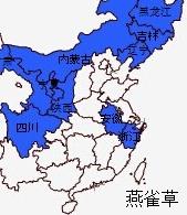 北重楼（北重楼图片）