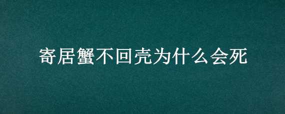 寄居蟹不回壳为什么会死（如果寄居蟹没找到壳会死吗）
