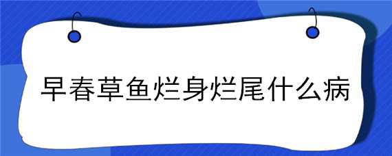 早春草鱼烂身烂尾什么病 草鱼烂身烂尾出血病