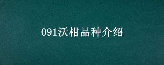 091沃柑品种介绍（091沃柑种植管理）