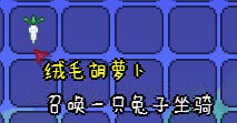 《泰拉瑞亚》部分坐骑图文介绍