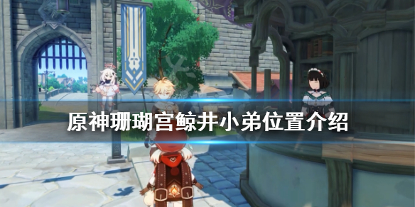 原神珊瑚宫鲸井小弟在哪（原神珊瑚宫精灵）