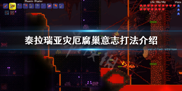 泰拉瑞亚灾厄腐巢意志怎么打（灾厄腐巢意志怎样召唤）