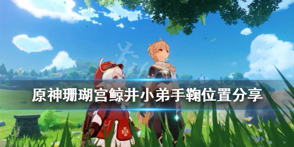原神珊瑚宫手鞠在哪里 原神珊瑚宫手鞠的位置