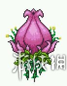 泰拉瑞亚1.3.4.4boss快速打法 terraria各种boss怎么打？ 克鲁苏之眼