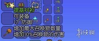 泰拉瑞亚召唤师装备详解 泰拉瑞亚召唤师有哪些装备 蜘蛛魔杖