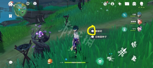 原神骗骗花怎么辨别 原神骗骗花辨别方法介绍