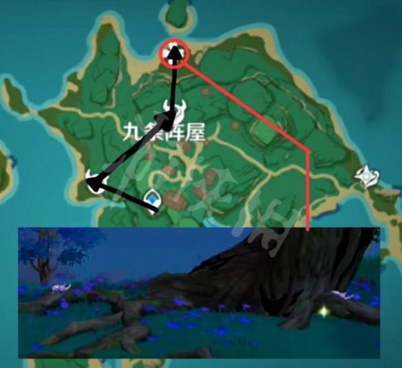 原神鬼兜虫哪里多 原神鬼兜虫采集路线推荐