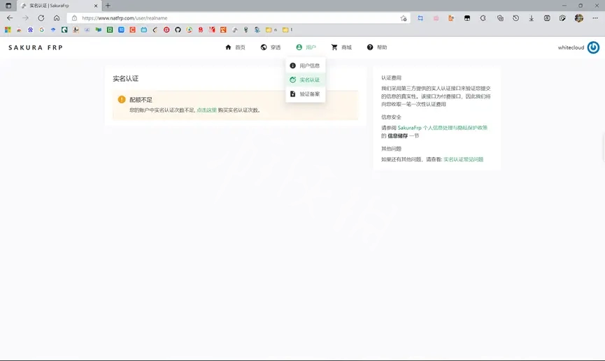 泰拉瑞亚如何联机 内网穿透联机方法介绍
