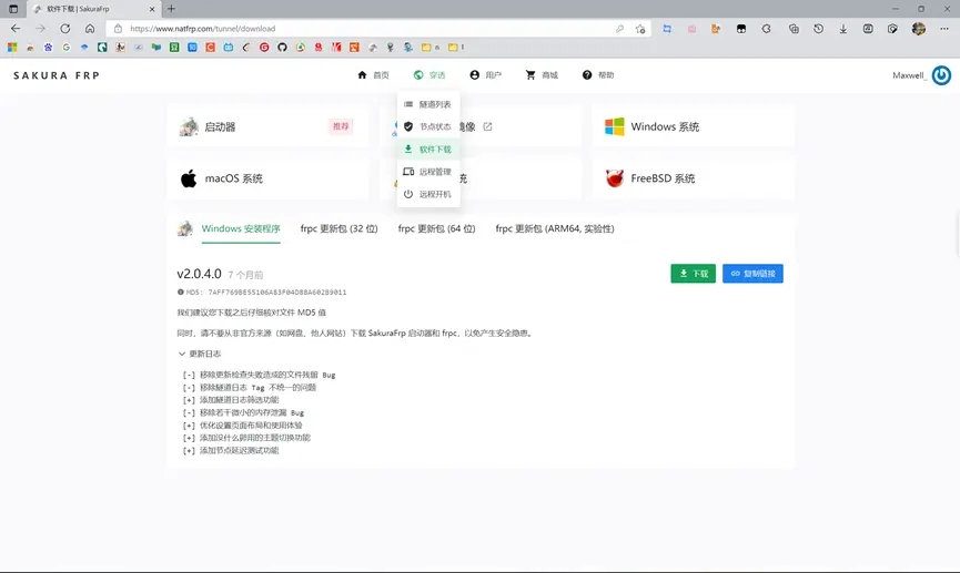 泰拉瑞亚如何联机 内网穿透联机方法介绍