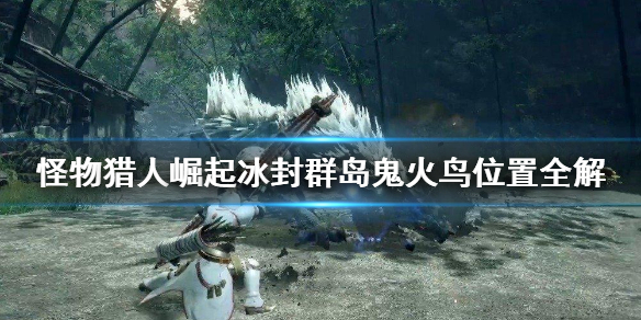 怪物猎人崛起冰封群岛鬼火鸟在哪 怪物猎人崛起鬼火鸟收集