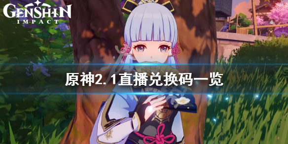 原神2.1直播兑换码是什么 原神2.1直播兑换码有什么
