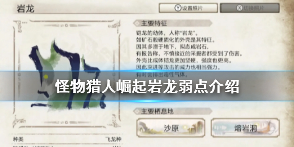 怪物猎人崛起岩龙弱点是什么（怪物猎人崛起岩龙能断尾吗）