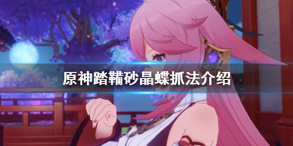 原神踏鞴砂晶蝶怎么抓 原神中踏鞴砂