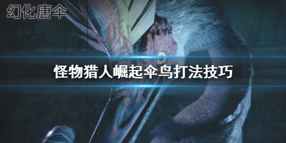 怪物猎人崛起伞鸟怎么打（怪物猎人崛起伞鸟怎么打用什么武器）