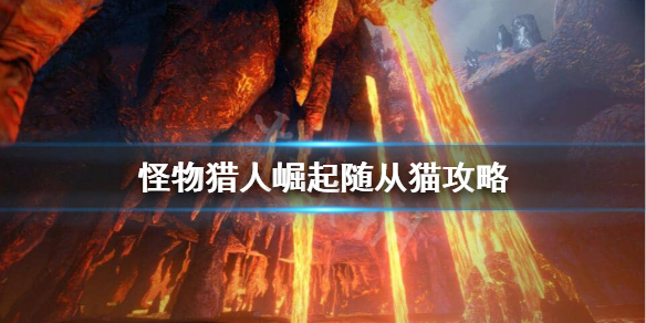 怪物猎人崛起随从猫怎么选（怪物猎人崛起随从猫选择）