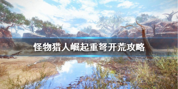 怪物猎人崛起重弩怎么配装（怪物猎人崛起重弩怎么配装武器）
